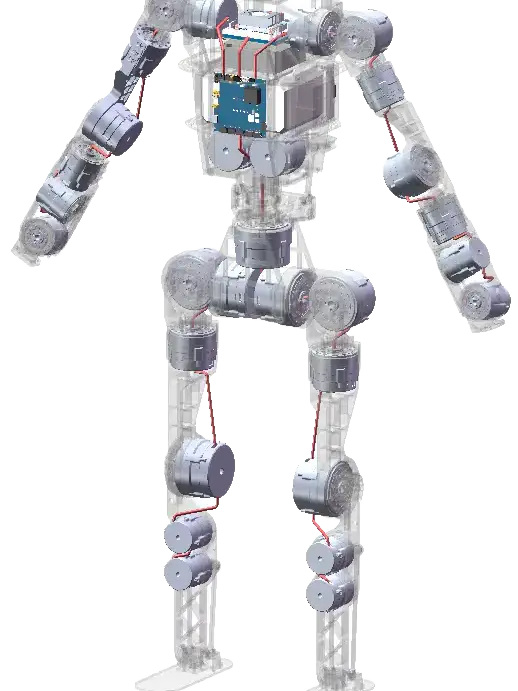 人形机器人ODM/OEM