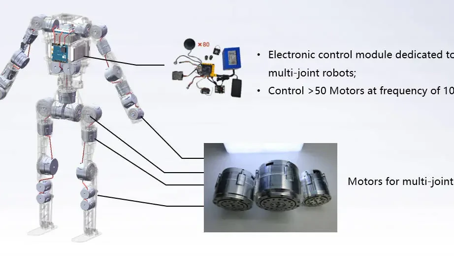 Custom humanoid OEM layout